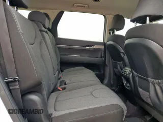 2020 Hyundai Palisade SE с VIN KM8R14HE8LU040640, выставлен на аукционе Copart как лот 58182065 с пробегом 82 294 миль миль и Списание • Salvage title. История ставок и продаж доступна на DreamBid. Изображение 11.