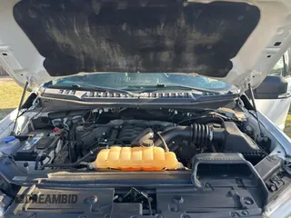2018 Ford F-150 XL with VIN 1FTFW1E5XJKE02519, listed as a Copart auction lot 50268565 with 184,094 mi miles and Clean title. Bid and sale history available at DreamBid. Image 7.