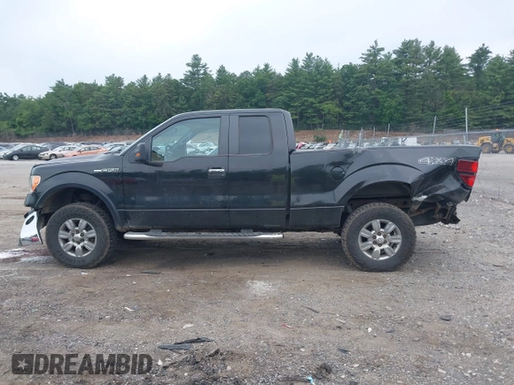 2010 Ford F-150 XL with VIN 1FTEX1E81AFA48403, listed as a IAAI auction lot 42499944 with 215,900 mi miles and . Bid and sale history available at DreamBid. Image 15.