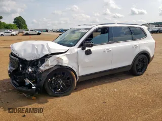 2022 Kia Telluride EX z VIN 5XYP3DHC1NG318982, wystawiony jako Copart lot #59152325 z przebiegiem 62 688 mil mil oraz Szkoda całkowita • Salvage title. Historia ofert i sprzedaży dostępna na DreamBid. Obrazek 1.
