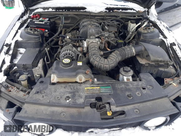 2009 Ford Mustang with VIN 1ZVHT84N395121827, listed as a Copart auction lot 41651645 with 117,203 mi miles and Clean title. Bid and sale history available at DreamBid. Image 11.