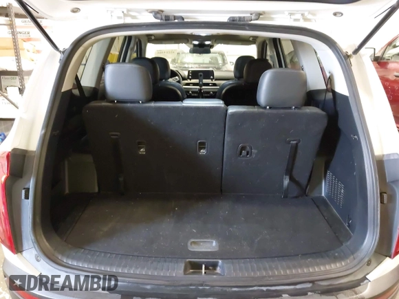 2021 Kia Telluride S with VIN 5XYP6DHC3MG163437, listed as a IAAI auction lot 42214466 with 114,329 mi miles and . Bid and sale history available at DreamBid. Image 17.