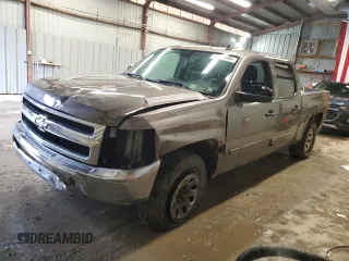 2013 Chevrolet Silverado 1500 LT with VIN 3GCPKSEA4DG122934, listed as a Copart auction lot 45287685 with Not Provided miles and Salvage Title. Bid and sale history available at DreamBid. Image 1.