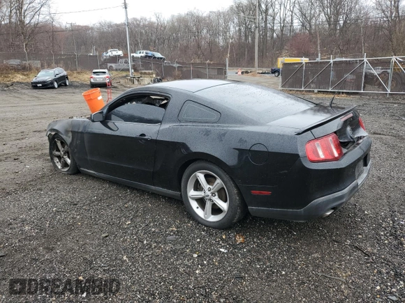 2010 Ford Mustang GT with VIN 1ZVBP8CH7A5112168, listed as a Copart auction lot 49946145 with Not Provided miles and Salvage Title. Bid and sale history available at carsss.com. Image 2.