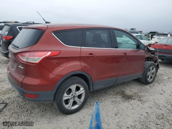 2014 Ford Escape SE with VIN 1FMCU0GX4EUE41050, listed as a Copart auction lot 43530505 with 186,850 mi miles and Salvage Title. Bid and sale history available at carsss.com. Image 3.