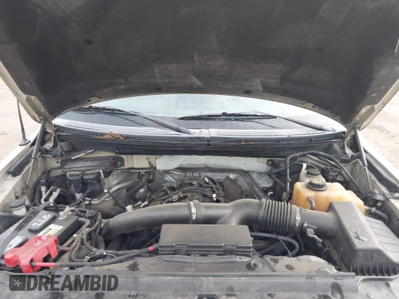 2011 Ford F-150 XL with VIN 1FTFX1ET0BFA88403, listed as a IAAI auction lot 42110763 with 185,801 mi miles. Bid and sale history available at carsss.com. Image 10.