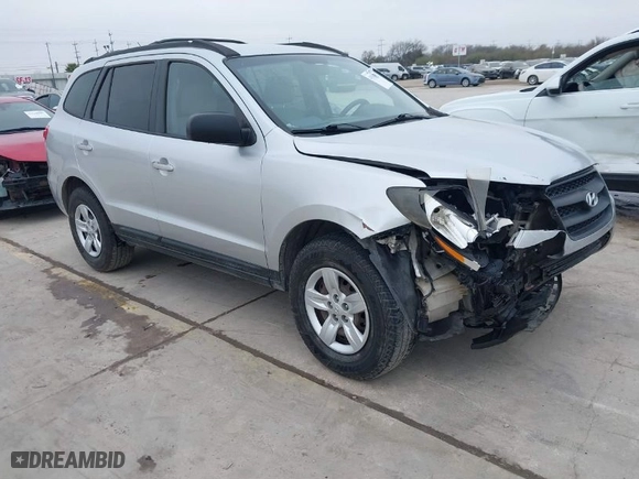 2009 Hyundai Santa Fe GLS with VIN 5NMSG13D49H256499, listed as a IAAI auction lot 41541870 with 265,610 mi miles. Bid and sale history available at carsss.com. Image 1.