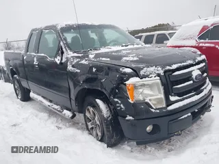 2013 Ford F-150 XL with VIN 1FTEX1EM0DFC96398, listed as a IAAI auction lot 41337891 with 167,569 mi miles and . Bid and sale history available at DreamBid. Image 1.