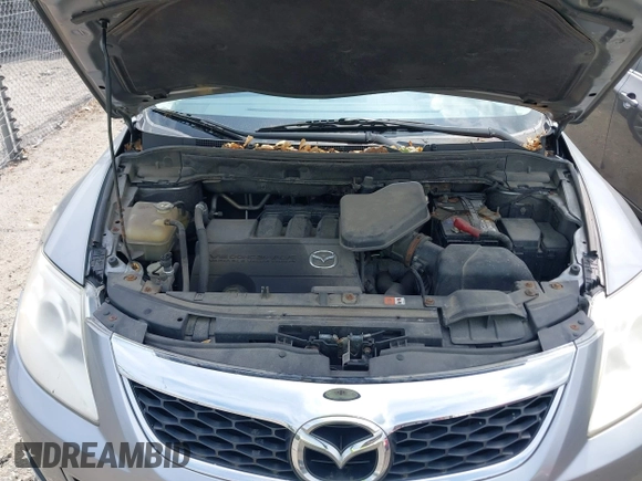 2010 Mazda CX-9 Touring with VIN JM3TB3MV9A0200608, listed as a IAAI auction lot 42369961 with 229,226 mi miles and . Bid and sale history available at DreamBid. Image 10.