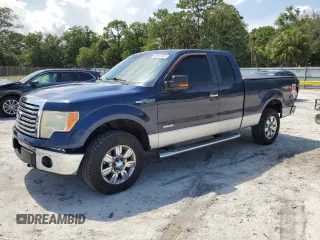 2011 Ford F-150 XL with VIN 1FTFX1ET8BFC18119, listed as a Copart auction lot 55903565 with 229,249 mi miles and Clean Title. Bid and sale history available at carsss.com. Image 1.
