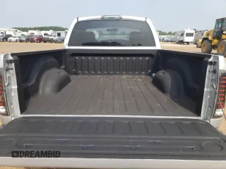2002 Dodge 1500 with VIN 1D7HA16K32J259549, listed as a Copart auction lot 68418504 with Not Provided miles and Salvage Title. Bid and sale history available at DreamBid. Image 10.