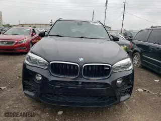2016 BMW X5 M with VIN 5YMKT6C53G0R78343, listed as a Copart auction lot 53502584 with 123,914 mi miles. Bid and sale history available at carsss.com. Image 5.