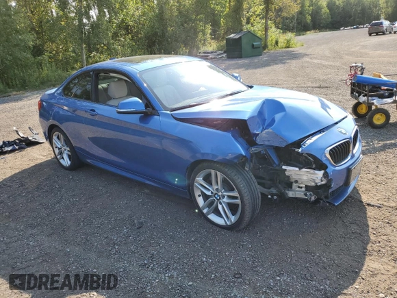 2017 BMW 2 Series 230i xDrive with VIN WBA2H9C53HV641944, listed as a Copart auction lot 70191654 with 107,225 mi miles and Clean Title. Bid and sale history available at carsss.com. Image 4.