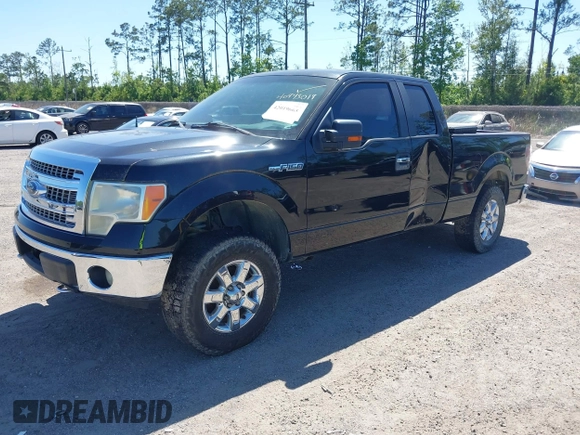2013 Ford F-150 XL with VIN 1FTFX1EF4DFE09064, listed as a IAAI auction lot 42019665 with 249,430 mi miles. Bid and sale history available at carsss.com. Image 2.