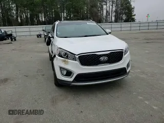 2016 Kia Sorento EX with VIN 5XYPH4A18GG125810, listed as a Copart auction lot 49037535 with 161,383 mi miles and Salvage Title. Bid and sale history available at DreamBid. Image 12.