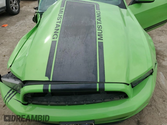 2014 Ford Mustang V6 with VIN 1ZVBP8EM4E5236494, listed as a Copart auction lot 48780005 with 134,462 mi miles and Salvage Title. Bid and sale history available at carsss.com. Image 11.