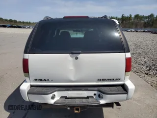 2001 Chevrolet Blazer LS z VIN 1GNDT13W71K230422, wystawiony jako Copart lot #54924005 z przebiegiem 171 035 mil mil oraz Szkoda całkowita • Salvage title. Historia ofert i sprzedaży dostępna na DreamBid. Obrazek 6.