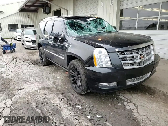 2013 Cadillac Escalade Platinum Edition with VIN 1GYS4DEF8DR133652, listed as a Copart auction lot 79134744 with 0 mi miles and Salvage Title. Bid and sale history available at carsss.com. Image 12.