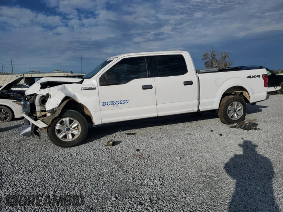 2020 Ford F-150 XL with VIN 1FTFW1E46LKD99600, listed as a Copart auction lot 88459665 with 84,237 mi miles and Salvage title. Bid and sale history available at DreamBid. Image 1.