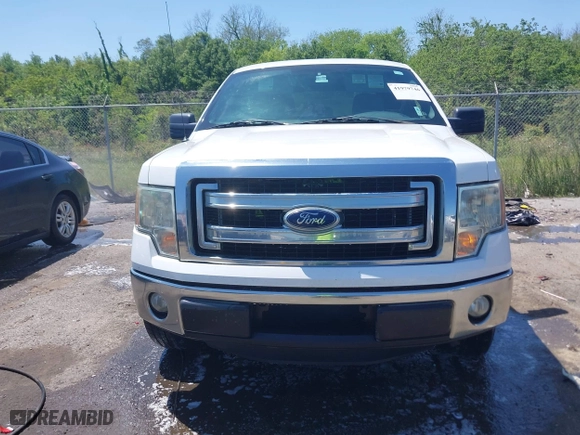 2013 Ford F-150 XL with VIN 1FTEW1CM7DFC06198, listed as a IAAI auction lot 41979746 with 197,674 mi miles. Bid and sale history available at carsss.com. Image 12.