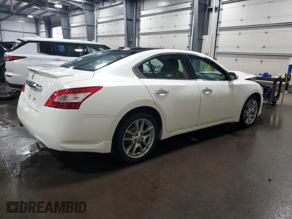 2010 Nissan Maxima SV with VIN 1N4AA5AP3AC861818, listed as a Copart auction lot 60893845 with 164,817 mi miles and Salvage title. Bid and sale history available at DreamBid. Image 3.