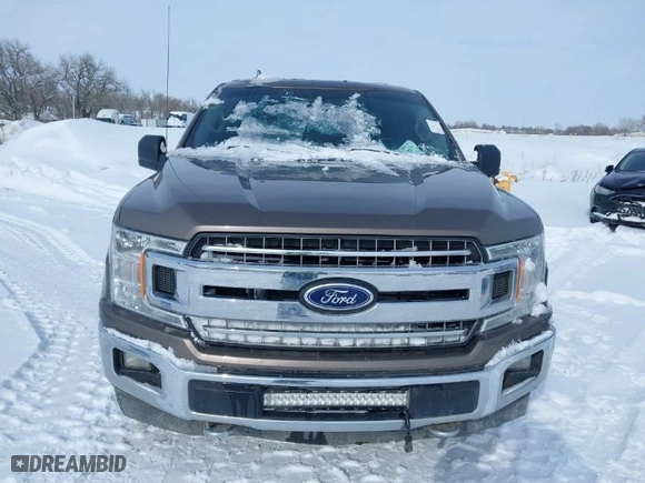 2018 Ford F-150 XL with VIN 1FTFW1EGXJKC05710, listed as a IAAI auction lot 41528720 with 147,366 mi miles. Bid and sale history available at carsss.com. Image 6.