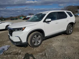 2024 Honda Pilot EX-L with VIN 5FNYG1H49RB032097, listed as a Copart auction lot 49303025 with 11,792 mi miles and Salvage title. Bid and sale history available at DreamBid. Image 1.