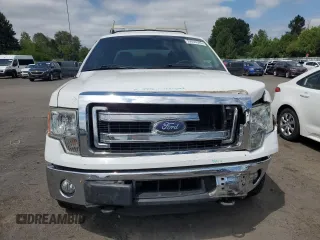 2014 Ford F-150 XL with VIN 1FTFX1ET0EKD17173, listed as a Copart auction lot 59056345 with 185,804 mi miles and Salvage title. Bid and sale history available at DreamBid. Image 5.