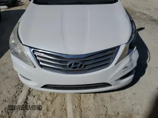 2014 Hyundai Azera with VIN KMHFG4JG1EA385784, listed as a Copart auction lot 49060695 with 168,953 mi miles and Salvage title. Bid and sale history available at DreamBid. Image 11.