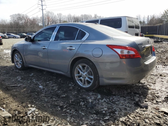 2009 Nissan Maxima SV with VIN 1N4AA51E99C843270, listed as a Copart auction lot 47688045 with 145,436 mi miles and Salvage Title. Bid and sale history available at DreamBid. Image 2.
