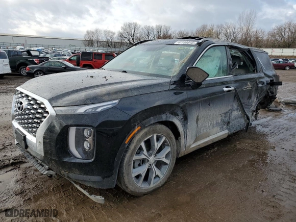 2020 Hyundai Palisade SEL with VIN KM8R4DHE5LU064790, listed as a Copart auction lot 47768645 with 41,634 mi miles and Non Repairable. Bid and sale history available at carsss.com. Image 1.