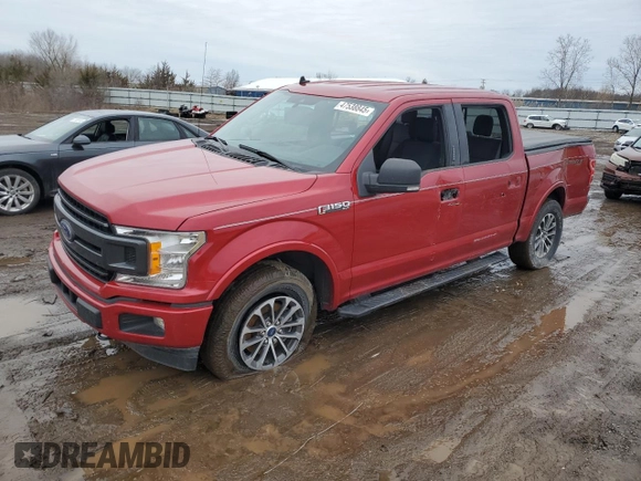 2020 Ford F-150 XL with VIN 1FTEW1EP4LKF53209, listed as a Copart auction lot 47538845 with 50,041 mi miles and Salvage Title. Bid and sale history available at DreamBid. Image 1.