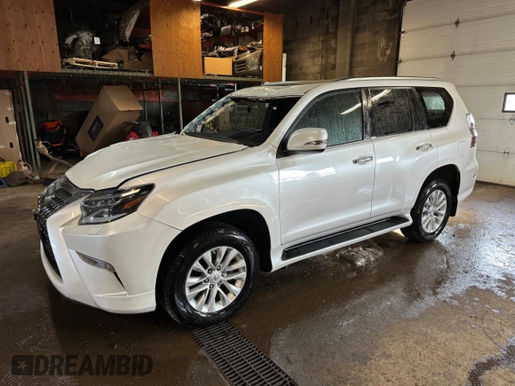 2023 Lexus GX with VIN JTJAM7BX0P5354526, listed as a Copart auction lot 54918225 with 18,668 mi miles and Non Repairable. Bid and sale history available at carsss.com. Image 1.