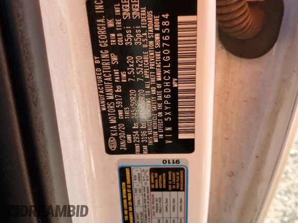 2020 Kia Telluride S with VIN 5XYP6DHCXLG076584, listed as a Copart auction lot 87949765 with 87,283 mi miles and Salvage Title. Bid and sale history available at DreamBid. Image 16.
