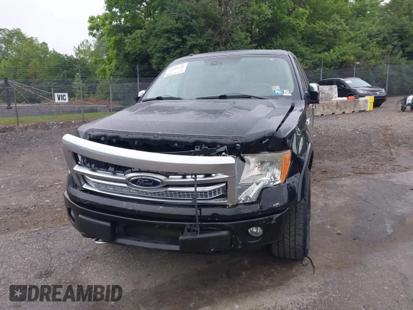 2009 Ford F-150 XL z VIN 1FTPW14V39FA99058, wystawiony jako IAAI lot #42300326 z przebiegiem 198 000 mil mil oraz . Historia ofert i sprzedaży dostępna na DreamBid. Obrazek 6.