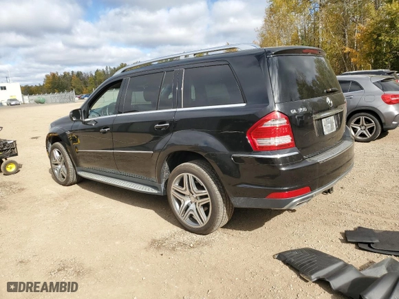 2010 Mercedes-Benz GL-Class GL 350 BlueTEC with VIN 4JGBF2FE4AA538469, listed as a Copart auction lot 75174524 with 257,044 mi miles and Clean Title. Bid and sale history available at carsss.com. Image 2.