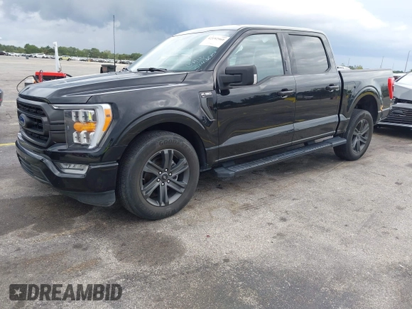 2023 Ford F-150 XL with VIN 1FTEW1C52PFA90311, listed as a IAAI auction lot 42192960 with Not Provided miles and . Bid and sale history available at DreamBid. Image 2.