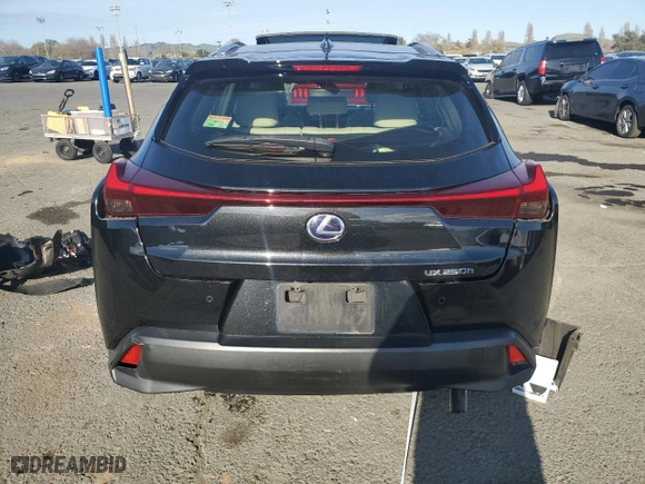 2020 Lexus UX with VIN JTHP9JBH4L2025441, listed as a Copart auction lot 48759045 with 42,348 mi miles and Salvage Title. Bid and sale history available at carsss.com. Image 6.