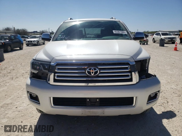 2019 Toyota Sequoia Platinum with VIN 5TDDY5G1XKS173918, listed as a Copart auction lot 45307304 with 63,343 mi miles. Bid and sale history available at carsss.com. Image 5.