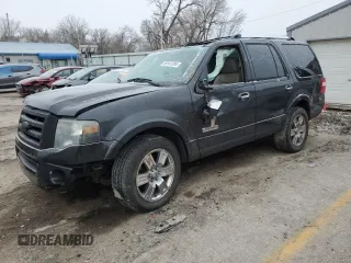 2007 Ford Expedition Limited with VIN 1FMFU20527LA23208, listed as a Copart auction lot 89141295 with 260,399 mi miles and Salvage title. Bid and sale history available at DreamBid. Image 1.