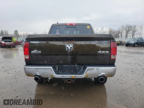 2013 Ram 1500 Outdoorsman with VIN 1C6RR7LT3DS705565, listed as a Copart auction lot 50050625 with 204,946 mi miles and Salvage Title. Bid and sale history available at carsss.com. Image 6.