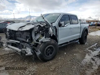 2024 Ford F-150 Raptor with VIN 1FTFW1RGXRFB06240, listed as a Copart auction lot 48020095 with Not Provided miles and Salvage Title. Bid and sale history available at DreamBid. Image 1.