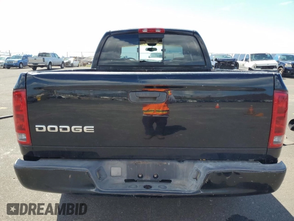 2002 Dodge 1500 with VIN 1D7HA18N52J258846, listed as a Copart auction lot 46193895 with 116,596 mi miles and Salvage Title. Bid and sale history available at DreamBid. Image 6.