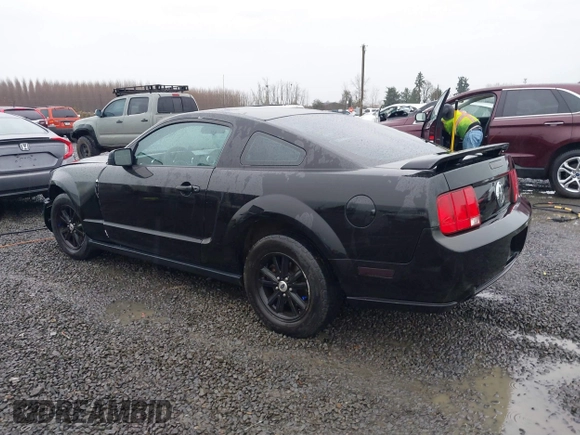 2006 Ford Mustang Standard with VIN 1ZVFT80N565161531, listed as a IAAI auction lot 41097766 with 149,250 mi miles and . Bid and sale history available at DreamBid. Image 3.