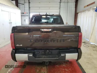 2023 Toyota Tundra Limited with VIN 5TFJA5DB2PX088190, listed as a Copart auction lot 78568164 with 10,932 mi miles and Salvage title. Bid and sale history available at DreamBid. Image 6.
