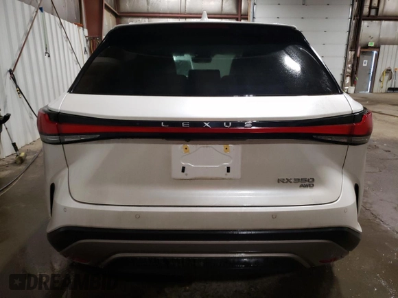 2024 Lexus RX 350 with VIN 2T2BAMCA5RC043460, listed as a Copart auction lot 48196955 with 5,704 mi miles and Salvage Title. Bid and sale history available at DreamBid. Image 6.
