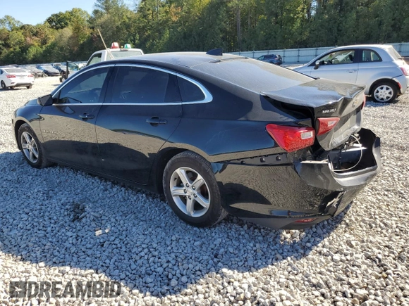 2019 Chevrolet Malibu LS with VIN 1G1ZB5ST6KF185346, listed as a Copart auction lot 77244674 with 65,133 mi miles and Salvage Title. Bid and sale history available at DreamBid. Image 2.