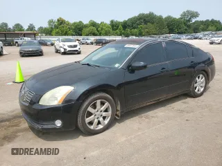 2006 Nissan Maxima SE with VIN 1N4BA41E06C818266, listed as a Copart auction lot 59037845 with 230,853 mi miles and Salvage title. Bid and sale history available at DreamBid. Image 1.