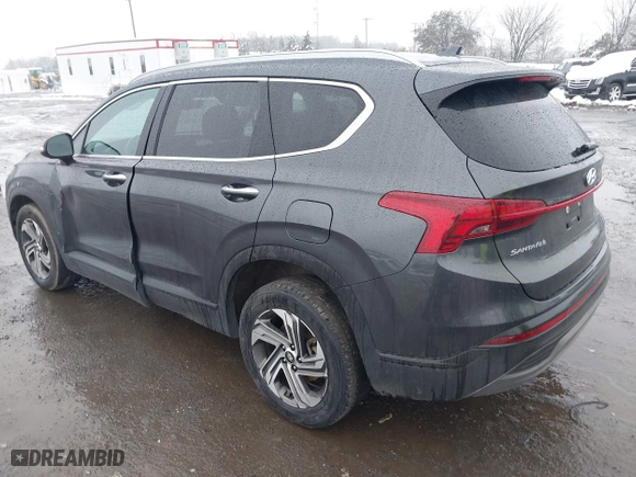 2023 Hyundai Santa Fe SEL with VIN 5NMS24AJ9PH545870, listed as a IAAI auction lot 41562211 with 134,462 mi miles. Bid and sale history available at carsss.com. Image 3.