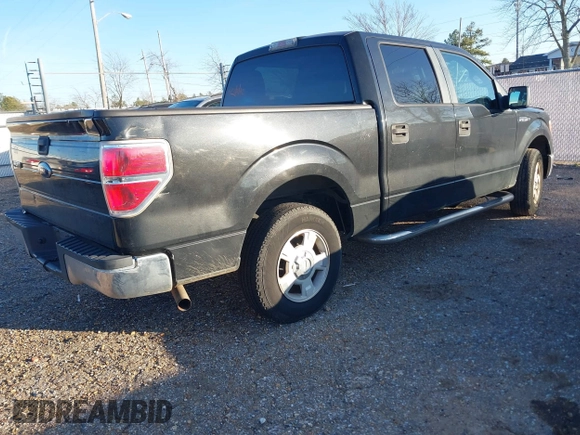 2010 Ford F-150 XL with VIN 1FTEW1C86AFA48466, listed as a IAAI auction lot 41236238 with 1 mi miles. Bid and sale history available at carsss.com. Image 4.